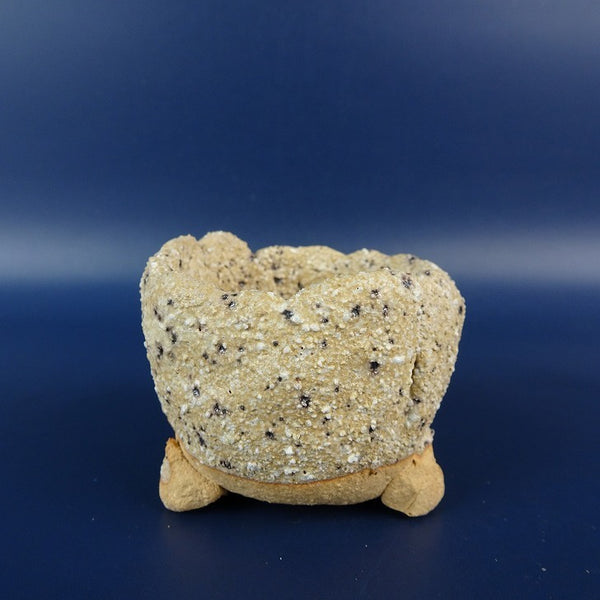 盆栽鉢 竹鳳 落款なし 小鉢 長辺 約 5.9cm 丸鉢 釉薬  新品 l1198406746