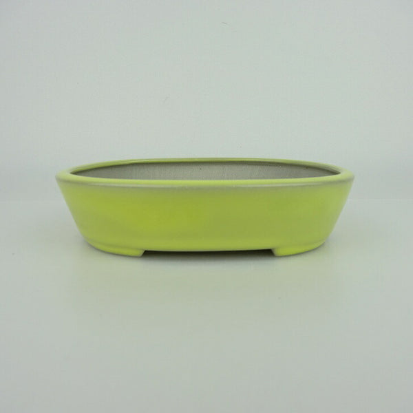 盆栽鉢 青香 小型 長辺 約14.8cm 楕円鉢 釉薬 o1198423728