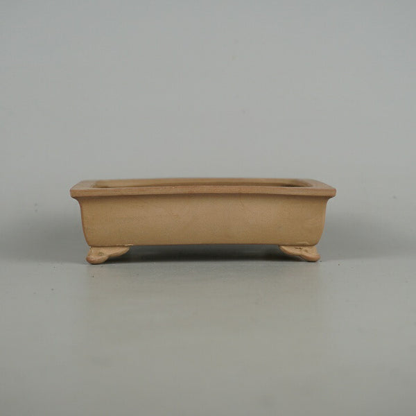 盆栽鉢 青香 小型 長辺 約13.5cm 長方鉢 雲足 泥物 j1198415432