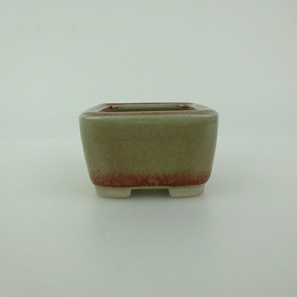 盆栽鉢 青香 豆鉢 長辺 約4.4cm 正方鉢 釉薬  新品 k1198407333