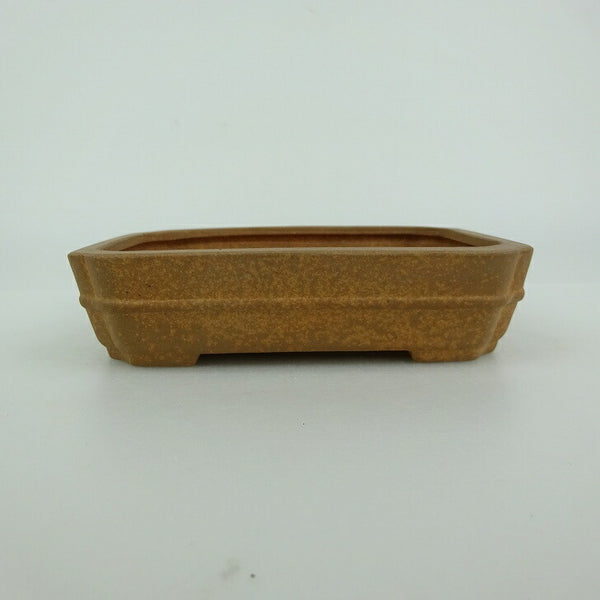 盆栽鉢 青香 小型 長辺 約12.1cm 長方鉢 隅入 中帯 泥物 l1198408288