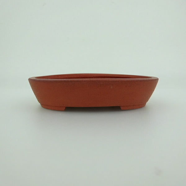 盆栽鉢 青香 小鉢 長辺 約9.8cm 楕円鉢 泥物 k1198409072