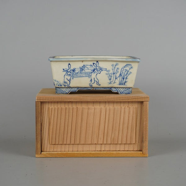 中古盆栽鉢 唐峰 小型 長辺 約12.5cm 長方鉢 縁付 染付 高山寺 ウサギ カエル 箱付 観賞用  中古鉢 h1198426813