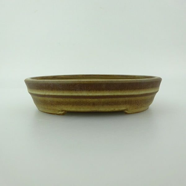 盆栽鉢 青香 小型 長辺 約11.9cm 楕円鉢 中帯 釉薬 r1198410507