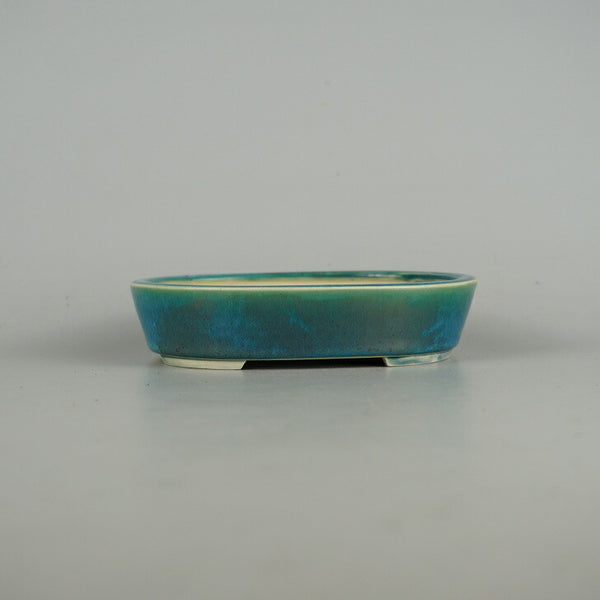 盆栽鉢 青香 小型 長辺 約14.5cm 楕円鉢 釉薬 e1198416160