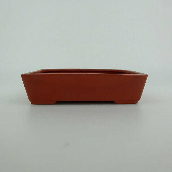 盆栽鉢 青香 小型 長辺 約11.8cm 長方鉢 泥物 r1198408963