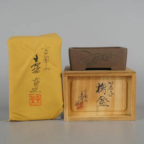 盆栽鉢 壺堂 小型 長辺 約10.3cm 長方鉢 彫入 四君子 共箱 共布 観賞用  新品 k1198413414