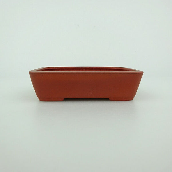 盆栽鉢 青香 小鉢 長辺 約9cm 長方鉢 泥物 t1198404645