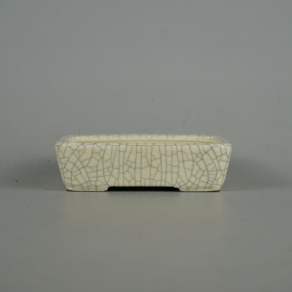 盆栽鉢 青香 小鉢 長辺 約9.5cm 長方鉢 貫入 釉薬 b1198424211