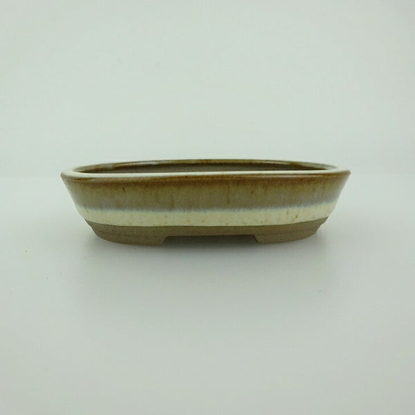 盆栽鉢 青香 小鉢 長辺 約8.3cm 楕円鉢 釉薬 m1198409169