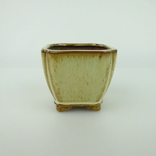 盆栽鉢 青香 小鉢 長辺 約6.5cm 正方鉢 隅入 雲足 下帯 釉薬 b1198421519