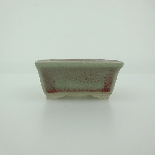 盆栽鉢 青香 小鉢 長辺 約5.8cm 長方鉢 縁付 釉薬 x1198412483