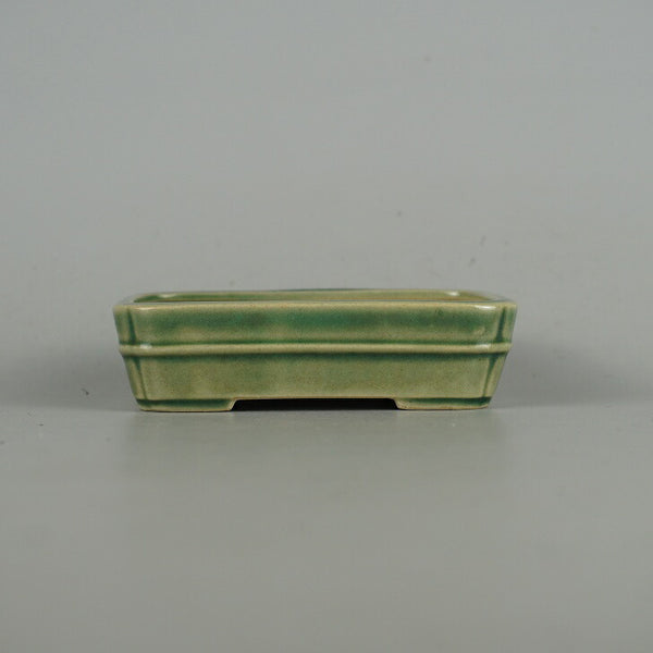 盆栽鉢 青香 小鉢 長辺 約9.4cm 長方鉢 中帯 釉薬 j1198417164