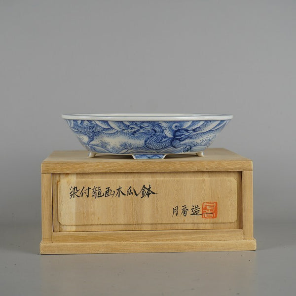 盆栽鉢 月香 小型 長辺 約16cm 木瓜鉢 染付 龍画 りゅう リュウ 共箱 観賞用  新品 k1198410122