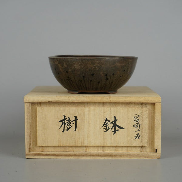 中古盆栽鉢 宮崎 一石 小型 長辺 約10.5cm 丸鉢 植物 絵鉢 共箱 観賞用  中古鉢 t1198412712