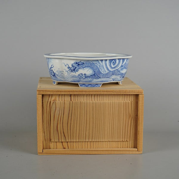 盆栽鉢 月香 小型 長辺 約14cm 木瓜鉢 染付 龍図 箱付 観賞用  新品 h1198423887