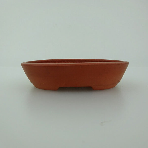 盆栽鉢 青香 小鉢 長辺 約8.6cm 楕円鉢 泥物 q1198416167