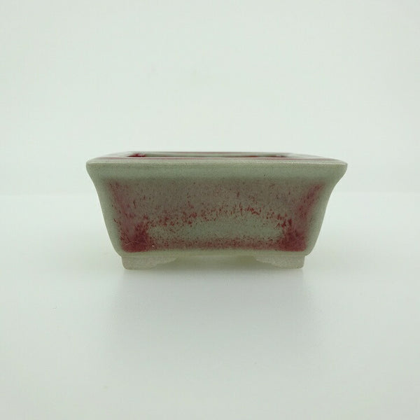 盆栽鉢 青香 小鉢 長辺 約5.8cm 長方鉢 縁付 釉薬  新品 e1198410286