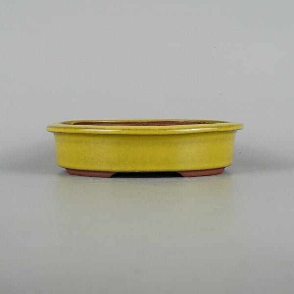 盆栽鉢 常滑 燿山窯 英明 小型 長辺 約18cm 楕円鉢 縁付 小判 黄釉 釉薬 数量物 新品 e1198415757