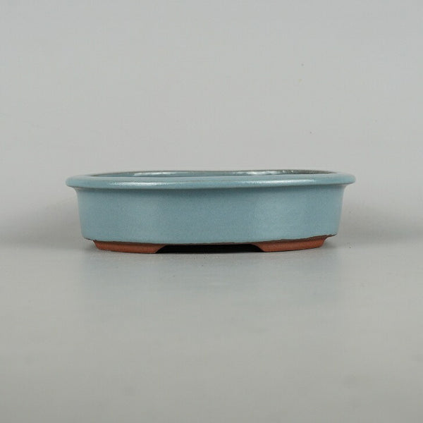 盆栽鉢 常滑 燿山窯 英明 小型 長辺 約18cm 楕円鉢 縁付 小判 均窯 釉薬 数量物 新品 n1198413416