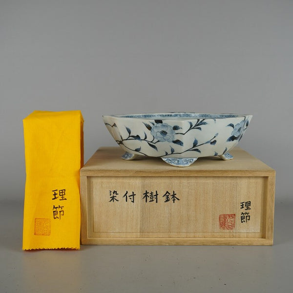 中古盆栽鉢 九谷 理節 中型 長辺 約21cm 剣木瓜鉢 染付 花 はな ハナ 植物 共箱 共布 観賞用  中古鉢 v1198439671