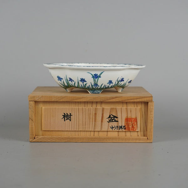 盆栽鉢 ゆうき祥石 小型 長辺 約14.2cm 木瓜鉢 外縁 色絵 花 はな ハナ 植物 共箱 観賞用  新品 m1198413050