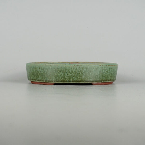 盆栽鉢 常滑 燿山窯 英明 小型 長辺 約18.5cm 楕円鉢 切立 小判 緑釉 釉薬 新品 数量物 r1198409511