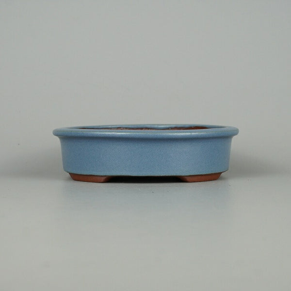 盆栽鉢 常滑 燿山窯 英明 小型 長辺 約14.8cm 楕円鉢 外縁 小判 均窯 釉薬 新品 数量物 v1198437576