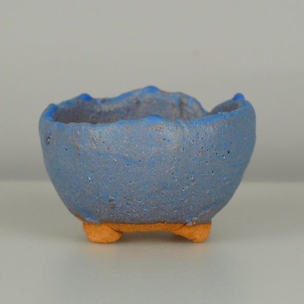 盆栽鉢 竹鳳 小鉢 長辺 約7cm 丸鉢 釉薬 数量物 新品 w1198412014