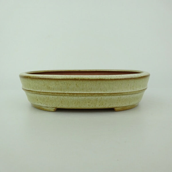 盆栽鉢 青香 小型 長辺 約14.5cm 楕円鉢 中帯 釉薬 s1198417610