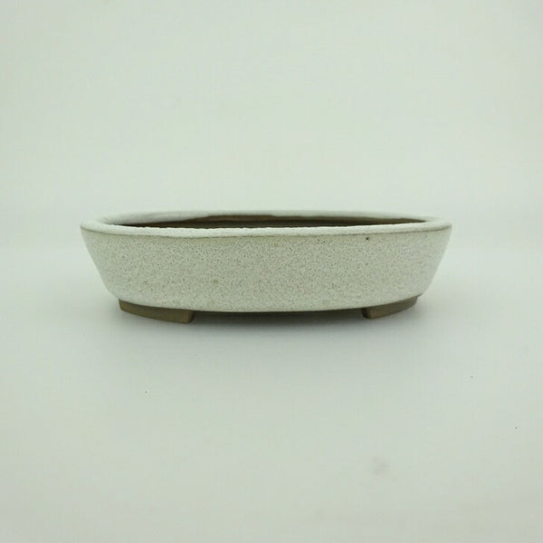 盆栽鉢 青香 小鉢 長辺 約9.8cm 楕円鉢 釉薬 u1198428324