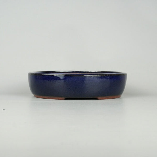 盆栽鉢 常滑 燿山窯 英明 小型 長辺 約18.3cm 楕円鉢 ワン型 小判 瑠璃 釉薬 新品 数量物 l1198408882