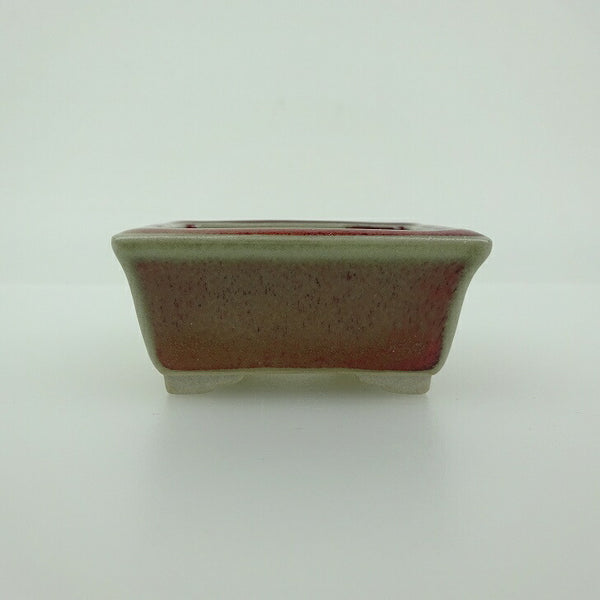 盆栽鉢 青香 小鉢 長辺 約5.8cm 長方鉢 縁付 釉薬  新品 r1198408964