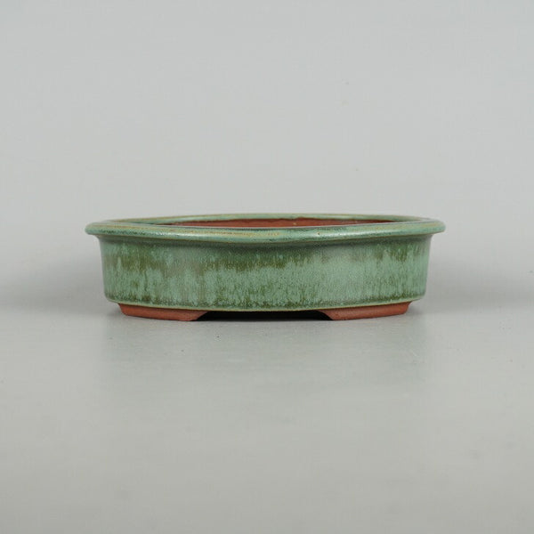 盆栽鉢 常滑 燿山窯 英明 小型 長辺 約18cm 楕円鉢 縁付 小判 緑釉 釉薬 数量物 新品 x1198413419