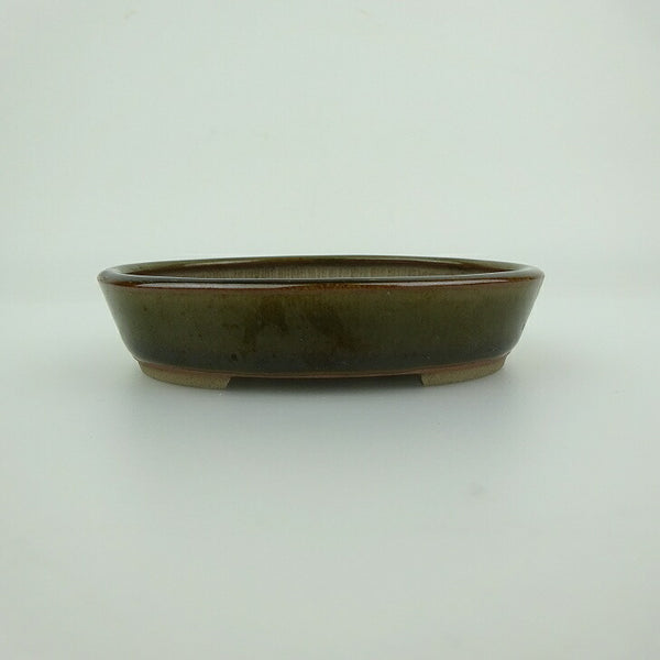 盆栽鉢 青香 小鉢 長辺 約9.8cm 楕円鉢 釉薬 x1198412238