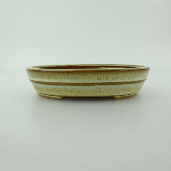 盆栽鉢 青香 小型 長辺 約11.9cm 楕円鉢 中帯 釉薬 1198405021