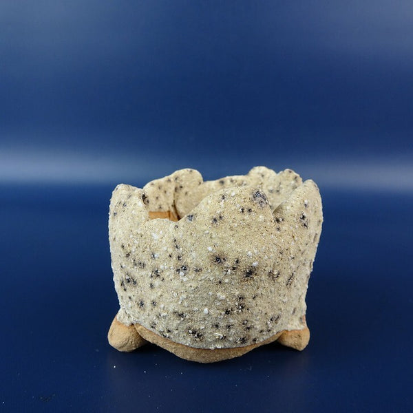 盆栽鉢 竹鳳 落款なし 小鉢 長辺 約 5.8cm 丸鉢 釉薬  新品 n1198406146