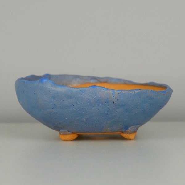 盆栽鉢 竹鳳 小型 長辺 約13cm 丸鉢 釉薬 数量物 新品 m1198412504