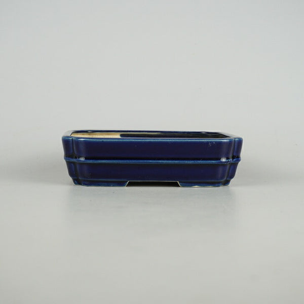 盆栽鉢 青香 小型 長辺 約14.8cm 長方鉢 隅入 中帯 釉薬 t1198406834