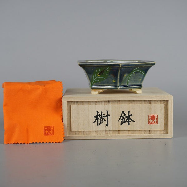 盆栽鉢 高山画 桂雲 ボデー 小型 長辺 約14.4cm 六角鉢 色絵 蛍 ほたる ホタル 共箱 共布 観賞用  新品 t1198411166