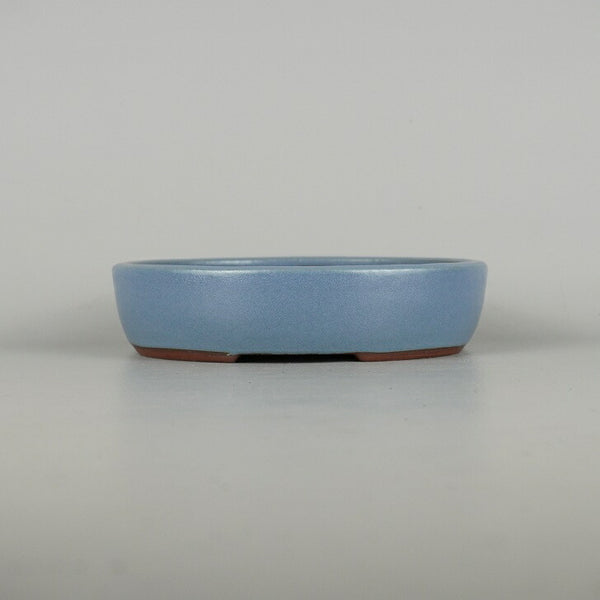 盆栽鉢 常滑 燿山窯 英明 小型 長辺 約18.3cm 楕円鉢 ワン型 小判 均窯 釉薬 数量物 新品 q1198408699