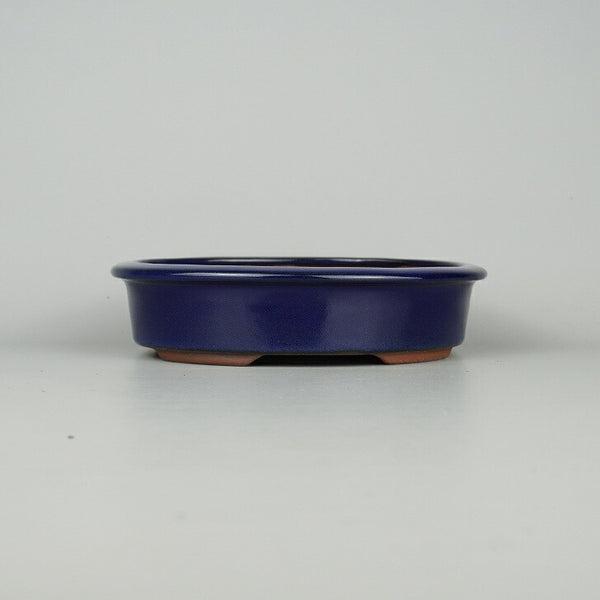 盆栽鉢 常滑 燿山窯 英明 小型 長辺 約18cm 楕円鉢 外縁 小判 瑠璃 釉薬 新品 数量物 c1198413651