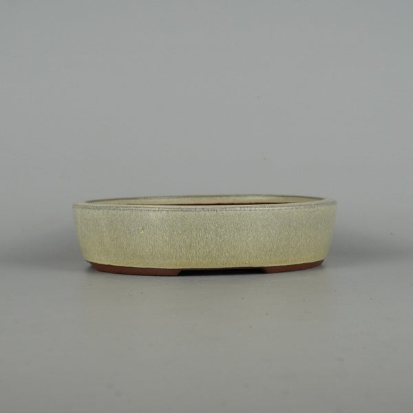 盆栽鉢 常滑 燿山窯 英明 小型 長辺 約18.3cm 楕円鉢 ワン型 小判 白釉 釉薬 数量物 新品 e1198415260