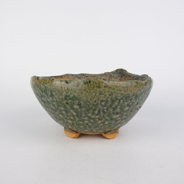 盆栽鉢 竹鳳 小型 長辺 約12.5cm 丸鉢 釉薬 数量物 新品 s1198417011