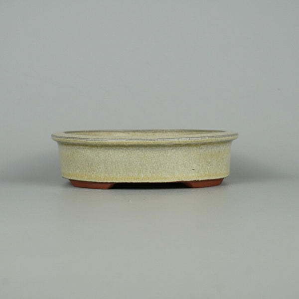 盆栽鉢 常滑 燿山窯 英明 小型 長辺 約14.8cm 楕円鉢 外縁 小判 白釉 釉薬 新品 数量物 m1198409619