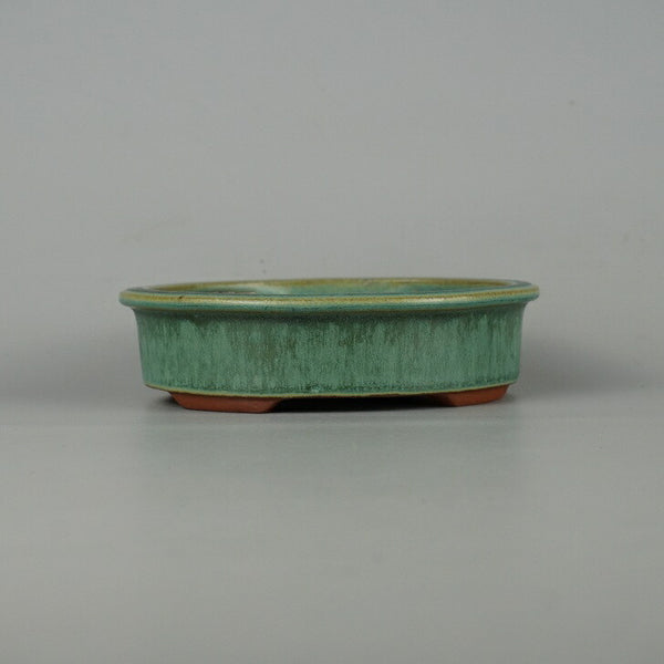 盆栽鉢 常滑 燿山窯 英明 小型 長辺 約14.8cm 楕円鉢 外縁 小判 緑釉 釉薬 新品 数量物 o1198425923