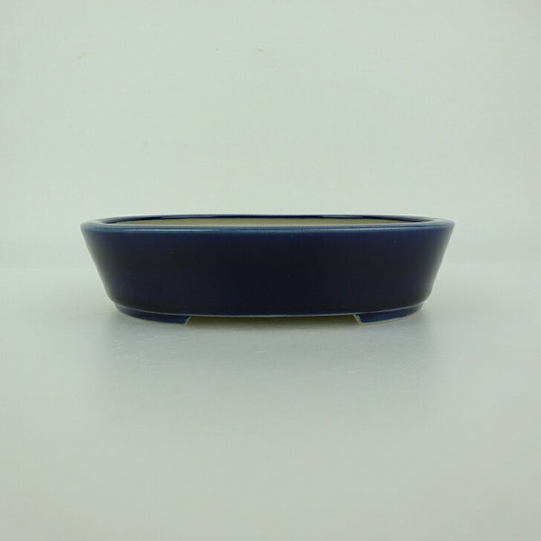 盆栽鉢 青香 小型 長辺 約14.5cm 楕円鉢 釉薬 新品 数量物 u1198426384