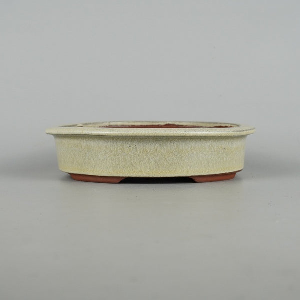 盆栽鉢 常滑 燿山窯 英明 小型 長辺 約18cm 楕円鉢 縁付 小判 白釉 釉薬 数量物 新品 l1198406783