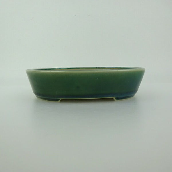 盆栽鉢 青香 小型 長辺 約14.6cm 楕円鉢 釉薬 新品 数量物 o1198424528