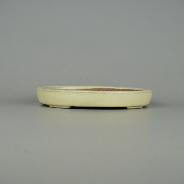 盆栽鉢 常滑 山房 小型 長辺 約15.8cm 楕円鉢 切立 白釉 釉薬 新品 数量物 x1198416955